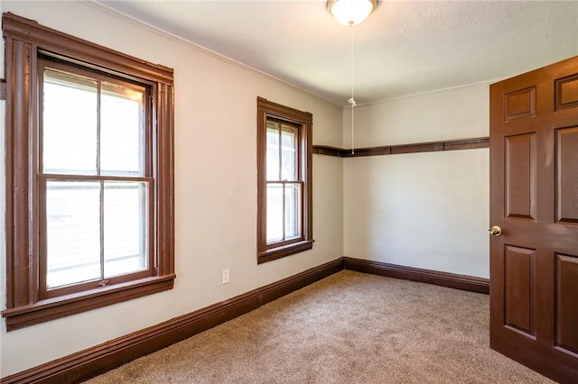 9 Englert St, Rochester, NY 14605 - spare room with carpet and crown molding