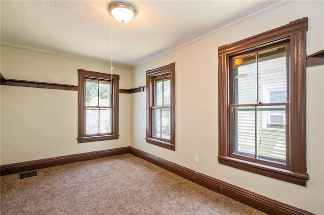 9 Englert St, Rochester, NY 14605 - spare room with carpet floors and ornamental molding