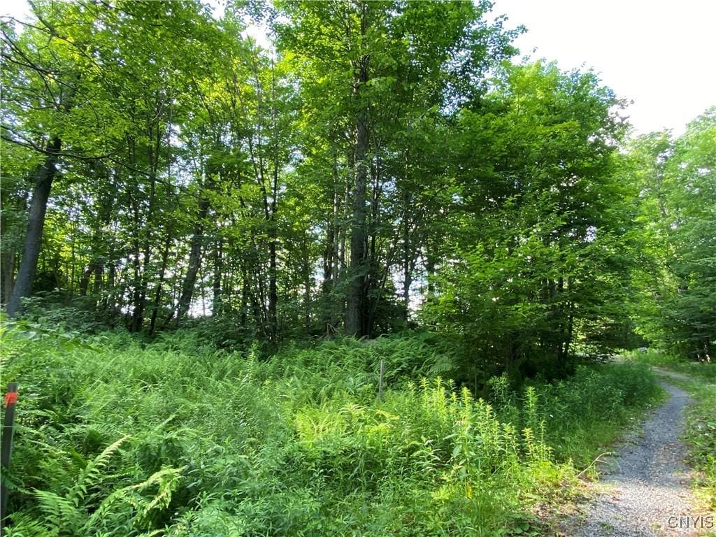1517 State Route 28, Webb, NY 13472