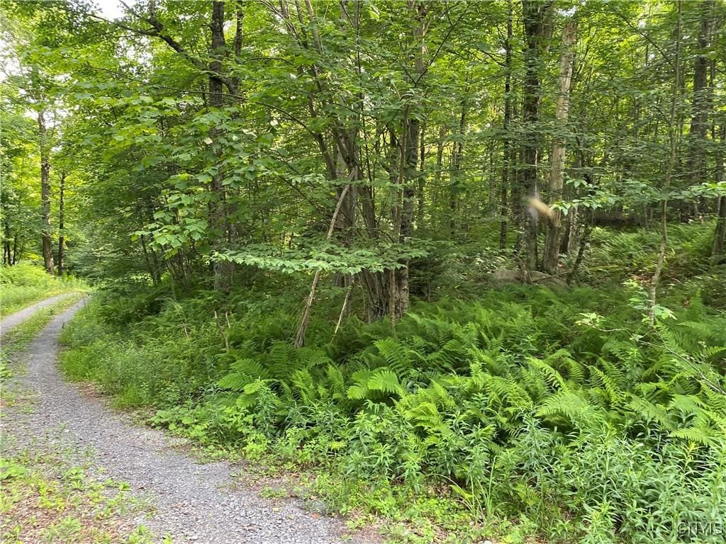 1517 State Route 28, Webb, NY 13472