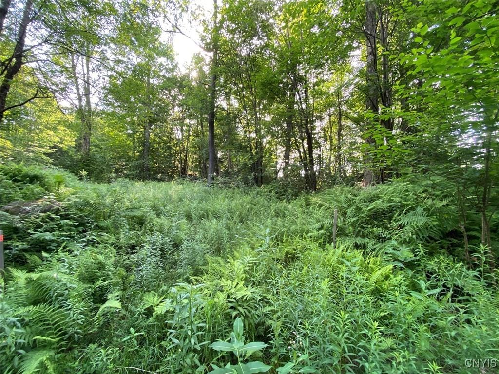 1517 State Route 28, Webb, NY 13472