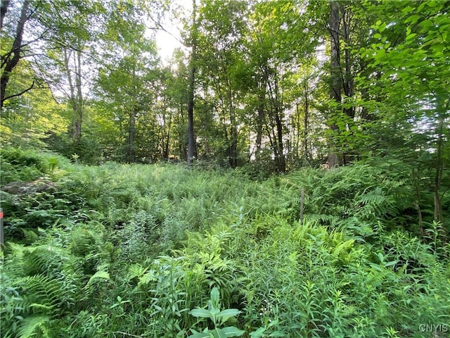 1517 State Route 28, Webb, NY 13472