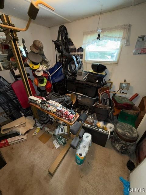 6792 Creek Rd, Lincoln, NY 13421 - misc room with carpet floors