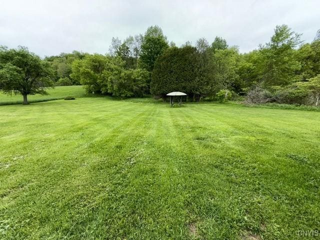 6792 Creek Rd, Lincoln, NY 13421 - view of grassy yard