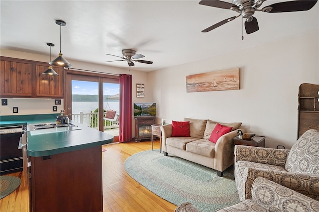 5041 Mapes Mathews Rd, Hector, NY 14818 - living room with ceiling fan and light wood-style flooring