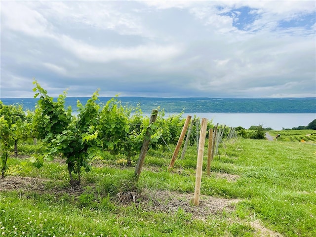5041 Mapes Mathews Rd, Hector, NY 14818 - water view