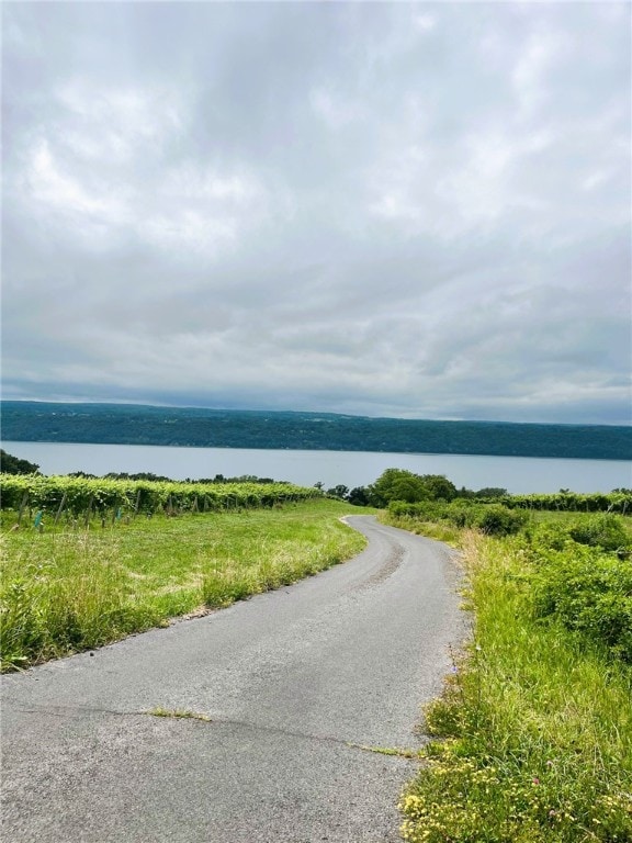 5041 Mapes Mathews Rd, Hector, NY 14818 - water view