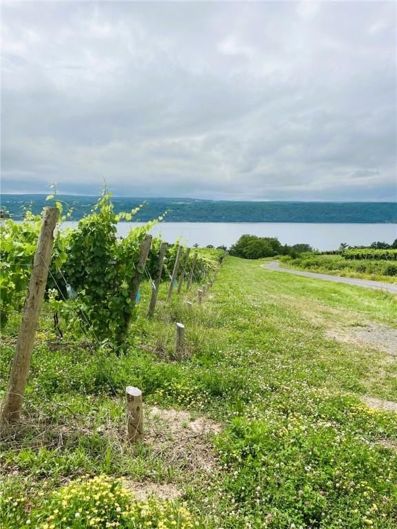 5041 Mapes Mathews Rd, Hector, NY 14818 - water view