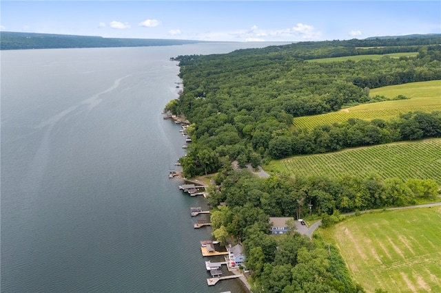 5041 Mapes Mathews Rd, Hector, NY 14818 - view of rural area featuring a large body of water