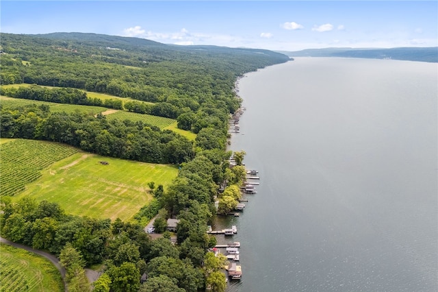 5041 Mapes Mathews Rd, Hector, NY 14818 - drone / aerial view of a large body of water