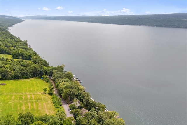5041 Mapes Mathews Rd, Hector, NY 14818 - drone / aerial view of a large body of water
