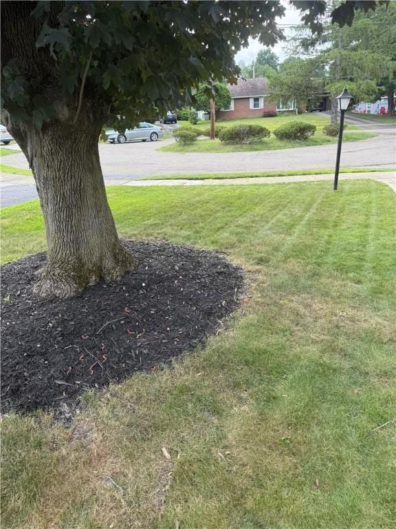 82 Winsor Cir, Elmira, NY 14905 - view of grassy yard