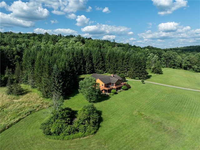 155 Hall Rd, Afton, NY 13730 - view of rural area featuring a heavily wooded area