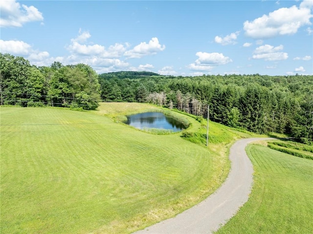 155 Hall Rd, Afton, NY 13730 - view of home's community featuring a forest view and a water view