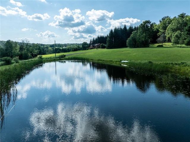 155 Hall Rd, Afton, NY 13730 - water view