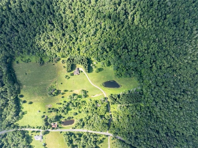 155 Hall Rd, Afton, NY 13730 - aerial view of property and surrounding area featuring property parcel outlined