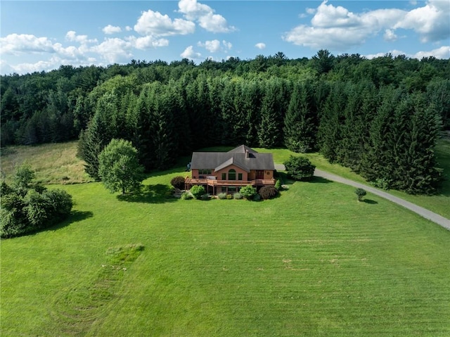 155 Hall Rd, Afton, NY 13730 - aerial view of property and surrounding area featuring a heavily wooded area