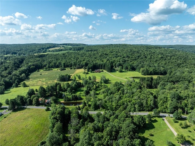 155 Hall Rd, Afton, NY 13730 - aerial view of a forest