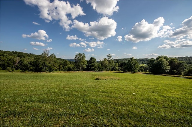 155 Hall Rd, Afton, NY 13730 - view of grassy yard with a rural view