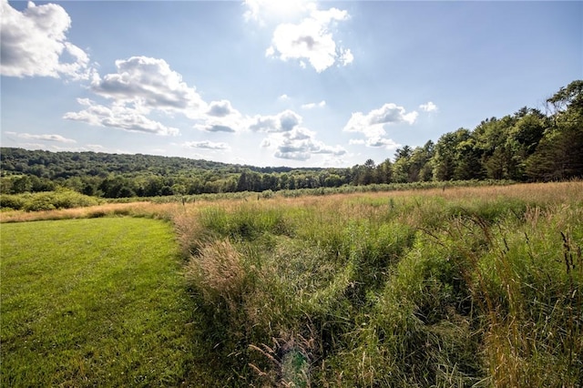 155 Hall Rd, Afton, NY 13730 - view of wooded area with a view of rural / pastoral area