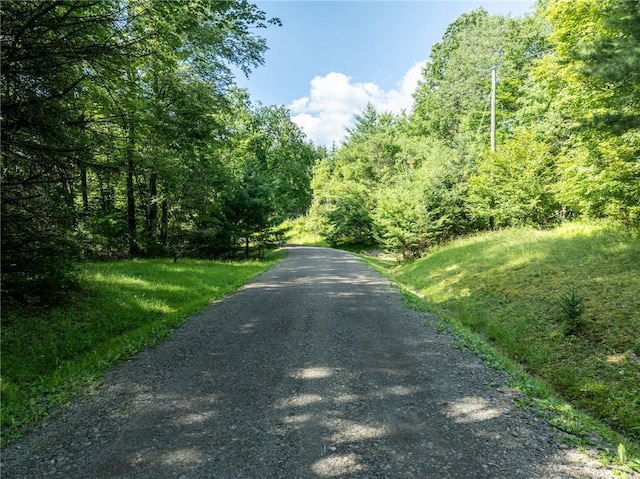 155 Hall Rd, Afton, NY 13730 - view of dirt / gravel road featuring a forest view