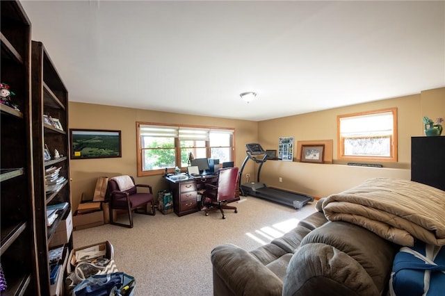 155 Hall Rd, Afton, NY 13730 - office space featuring carpet flooring