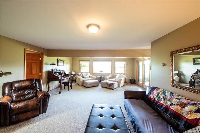 155 Hall Rd, Afton, NY 13730 - living area with carpet floors