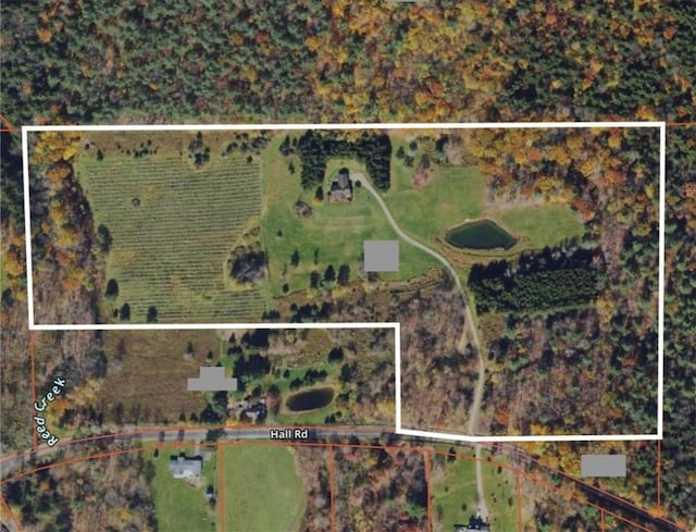 155 Hall Rd, Afton, NY 13730 - map / location with property parcel outlined