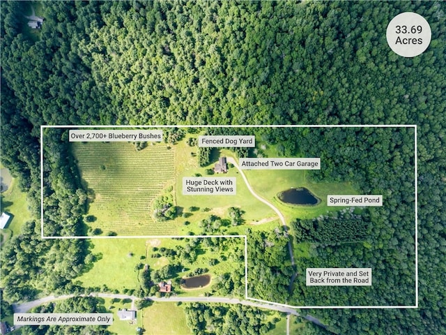 155 Hall Rd, Afton, NY 13730 - map / location featuring property parcel outlined