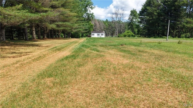573 Simpson Rd, Russia, NY 13438 - photo 41