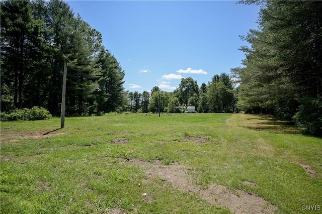 573 Simpson Rd, Russia, NY 13438 - photo 30