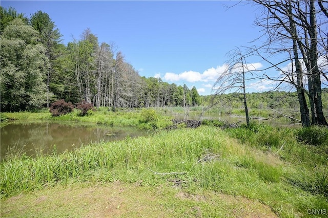 573 Simpson Rd, Russia, NY 13438 - photo 31