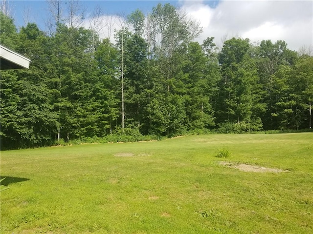 287 Plymouth-North Norwich Rd, Plymouth, NY 13832 - photo 33