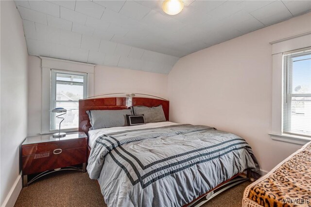 1143 Kensington Ave, Buffalo, NY 14215 - bedroom featuring carpet floors, multiple windows, and lofted ceiling