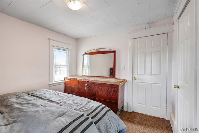 1143 Kensington Ave, Buffalo, NY 14215 - bedroom featuring carpet floors