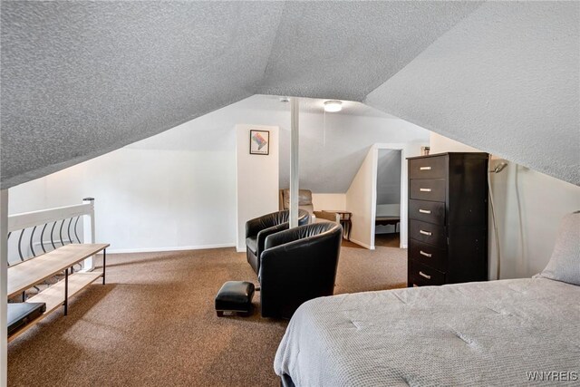 1143 Kensington Ave, Buffalo, NY 14215 - bedroom with carpet floors, lofted ceiling, and a textured ceiling