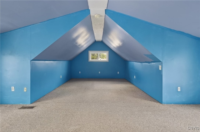 345 Wayland Rd, Salina, NY 13208 - additional living space with carpet and lofted ceiling