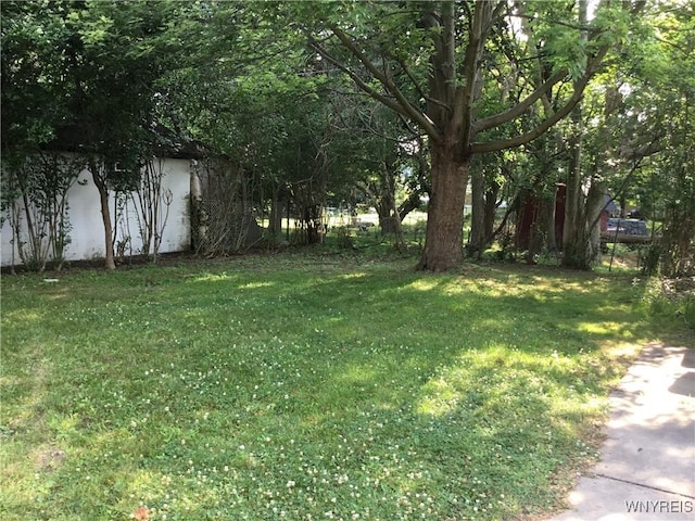 25 Fernwood Ave, West Seneca, NY 14206 - view of green lawn