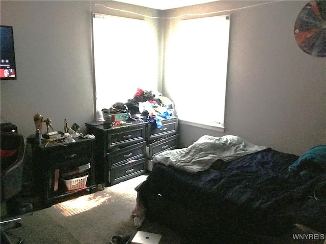 25 Fernwood Ave, West Seneca, NY 14206 - bedroom with carpet