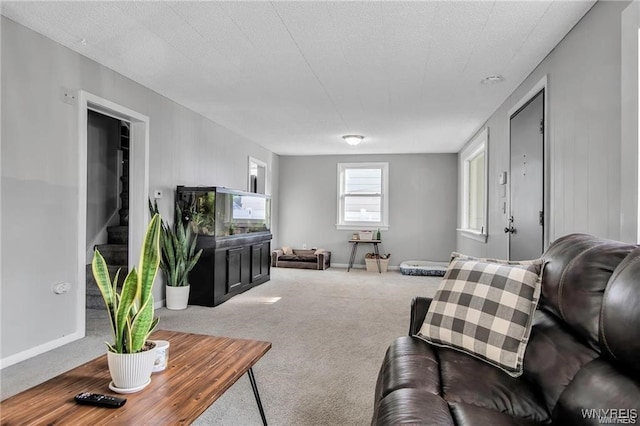 40 Remington Pl, Buffalo, NY 14210 - living room featuring carpet flooring