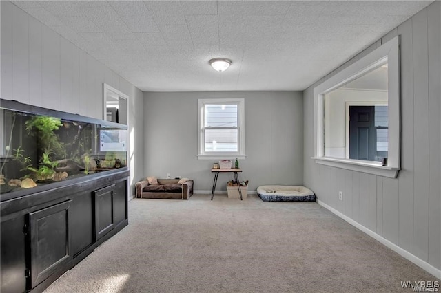40 Remington Pl, Buffalo, NY 14210 - living area with carpet floors and baseboards