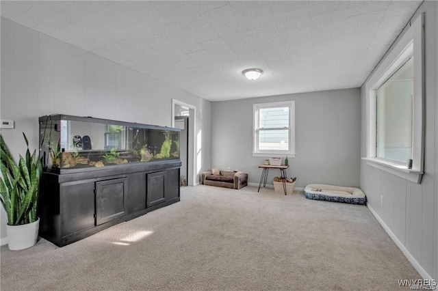 40 Remington Pl, Buffalo, NY 14210 - living area featuring carpet floors