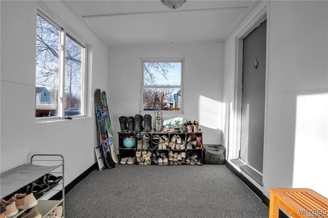 40 Remington Pl, Buffalo, NY 14210 - view of sunroom
