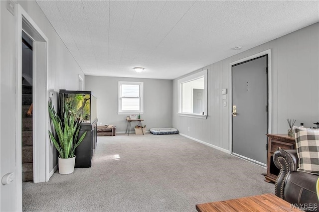 40 Remington Pl, Buffalo, NY 14210 - sitting room with carpet flooring and baseboards