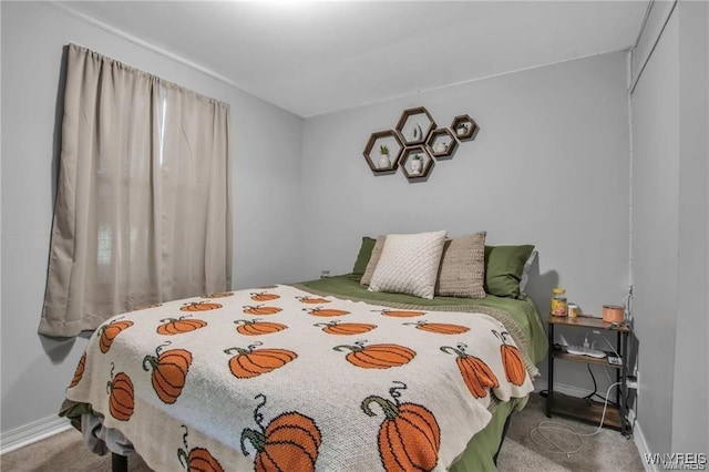 40 Remington Pl, Buffalo, NY 14210 - carpeted bedroom featuring baseboards