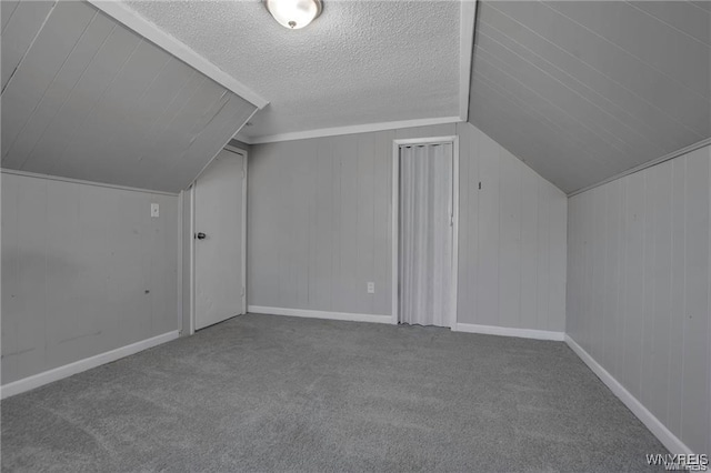 40 Remington Pl, Buffalo, NY 14210 - additional living space with lofted ceiling, carpet flooring, and a textured ceiling