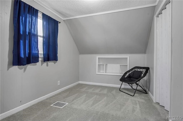 40 Remington Pl, Buffalo, NY 14210 - bonus room featuring a textured ceiling, carpet, lofted ceiling, and built in shelves