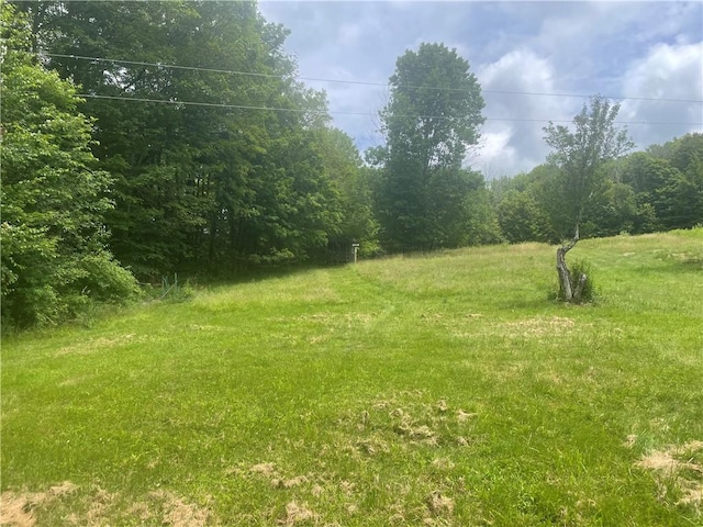 858 Randall Hill Rd, Masonville, NY 13839 - photo 18