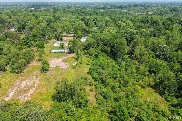 4610 Harris Hill Rd, Clarence, NY 14221 - photo 14