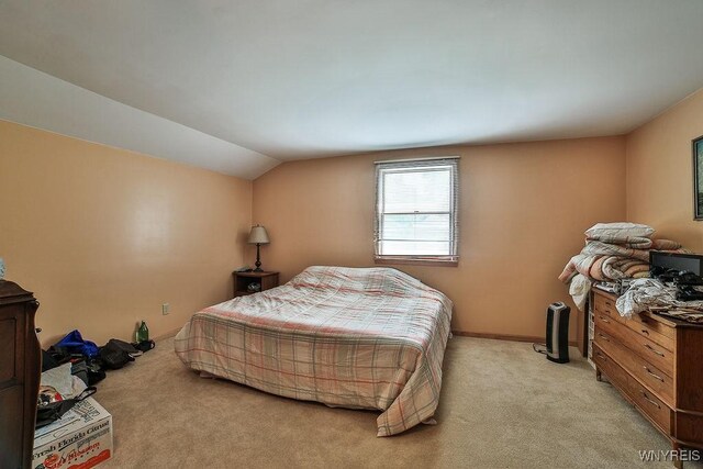 4610 Harris Hill Rd, Clarence, NY 14221 - photo 41